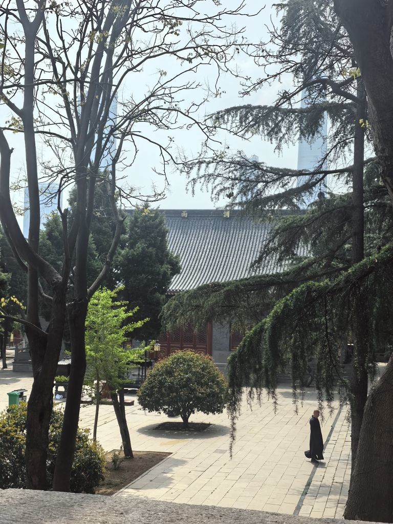 舞心妍??的主播照片