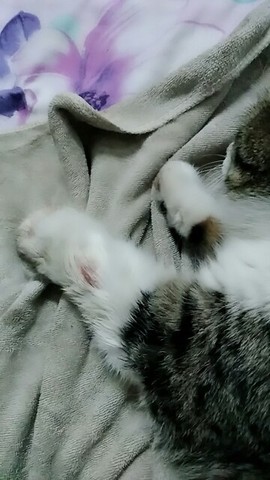 ╰つ留青╰ゞ主播照片