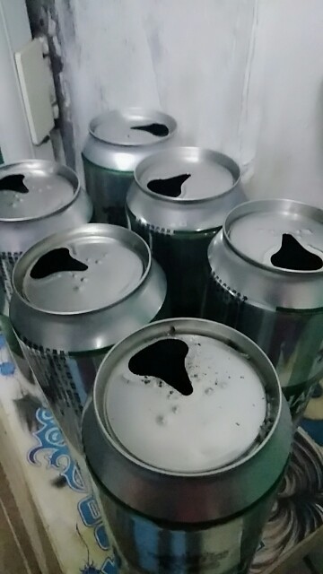 雪燕.的图片