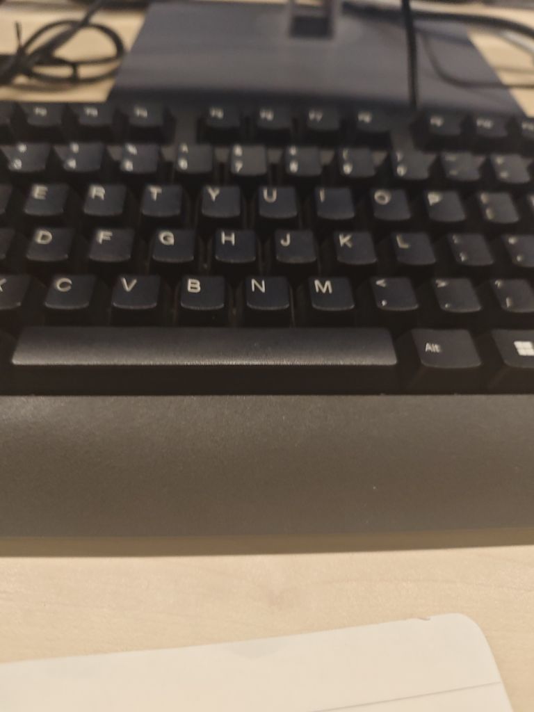 萌新宝宝rWaJvx的图片
