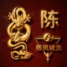 陈斌17396519