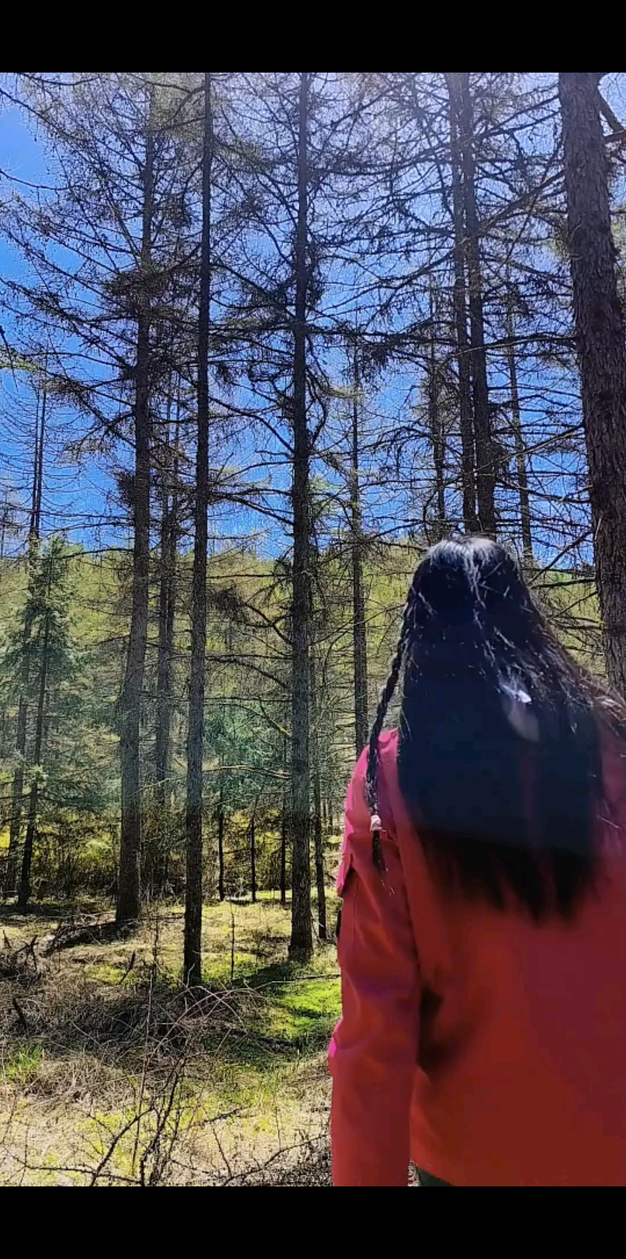 太治愈了这样的风景