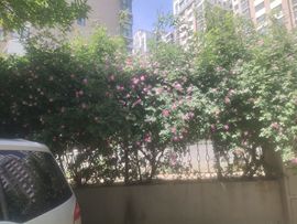 陶陶笛主播照片
