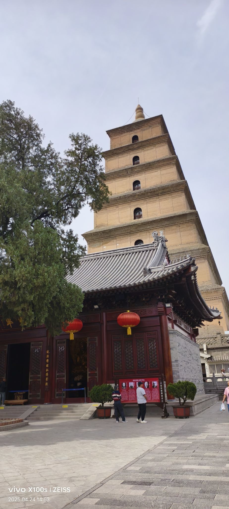 妞妞骑行全国的图片