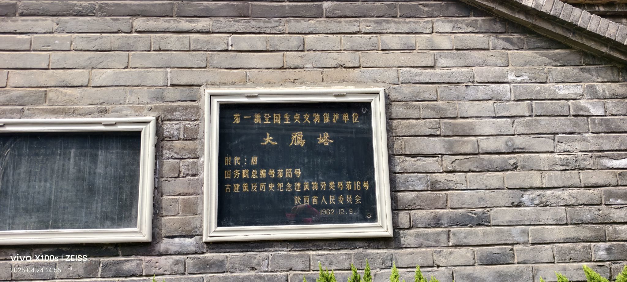 妞妞骑行全国的图片