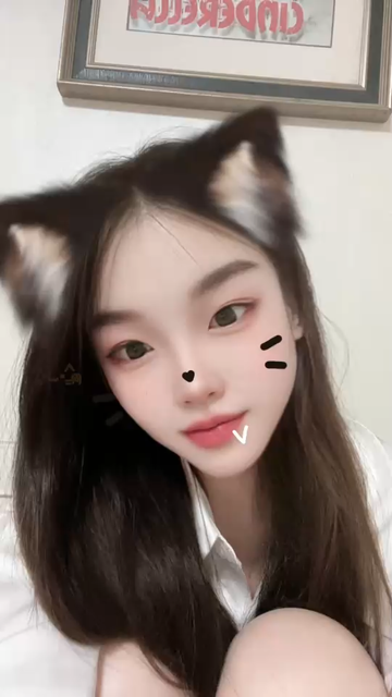做你怀里的猫