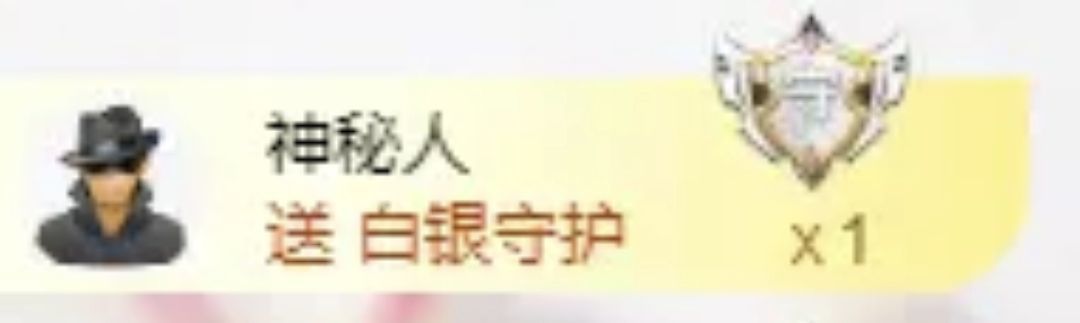 海鴿晚上見主播圖片