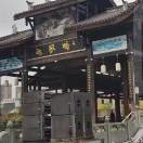 努力拼搏rz6