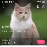 疯狂藤哒♛的头像