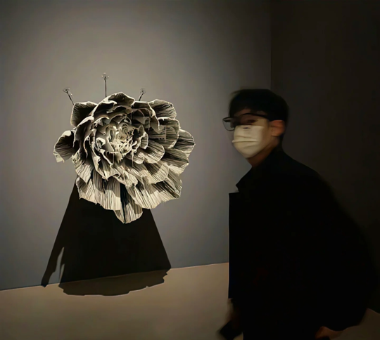 可能有点狂海报
