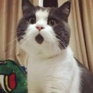 宇轩逸9