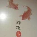 浪Dad