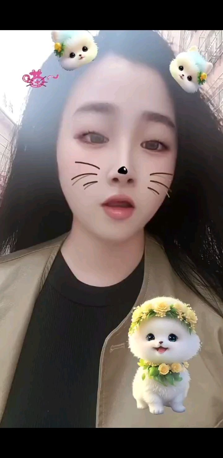 来了宝贝