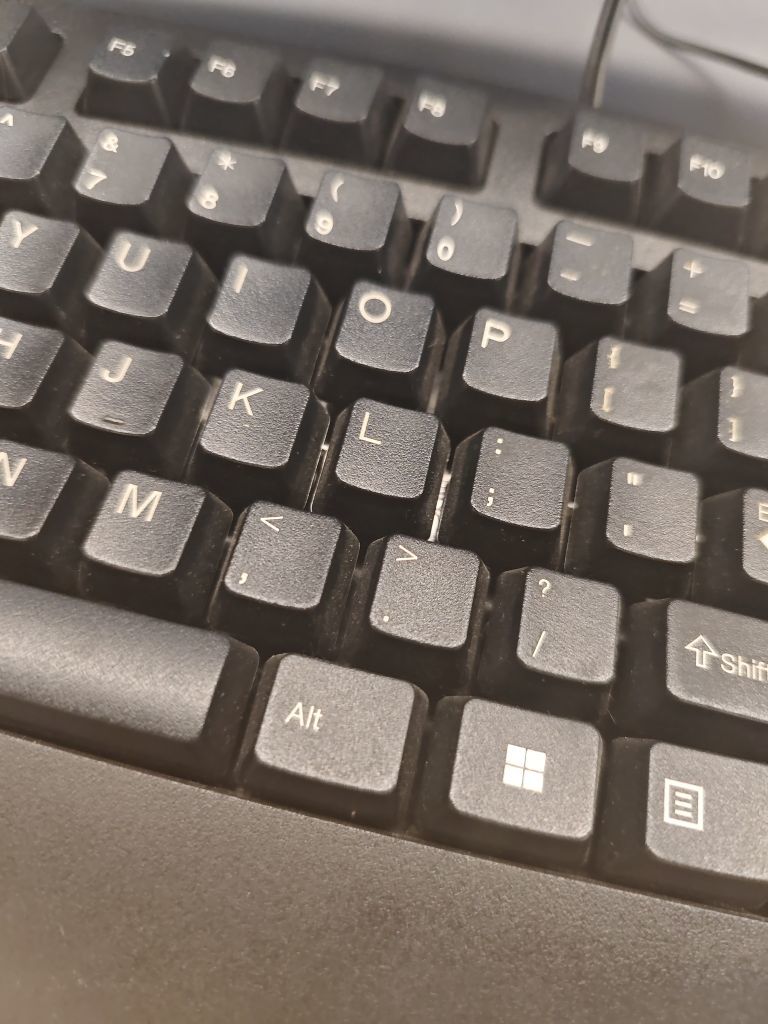 萌新宝宝rWaJvx的图片