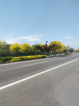 别致选择主播照片