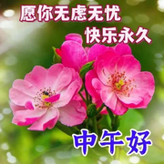 我梦里梦的全是你