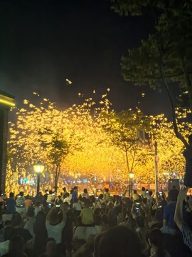 杨杨杨杨🎀的图片