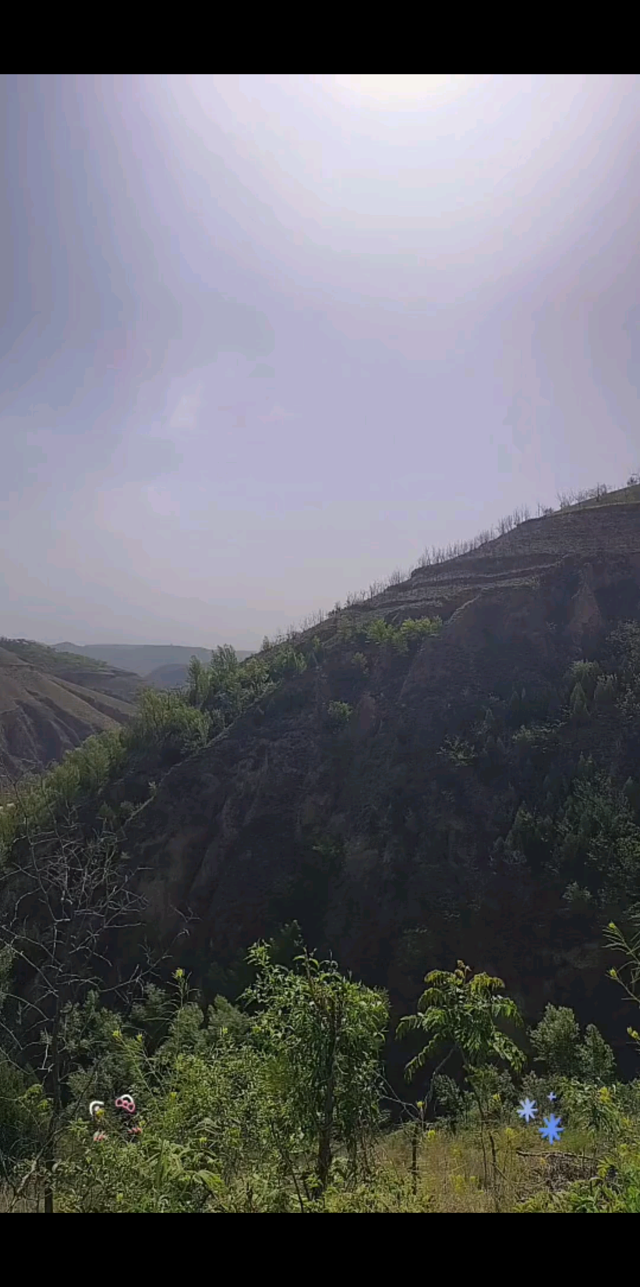 感谢每个陪伴支持妞妞