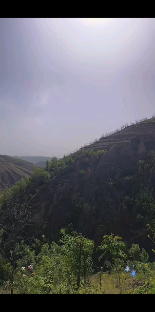 感谢每个陪伴支持妞妞
