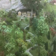 化蝶飞追随