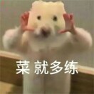 菜就多练7