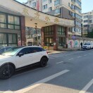 王洁15
