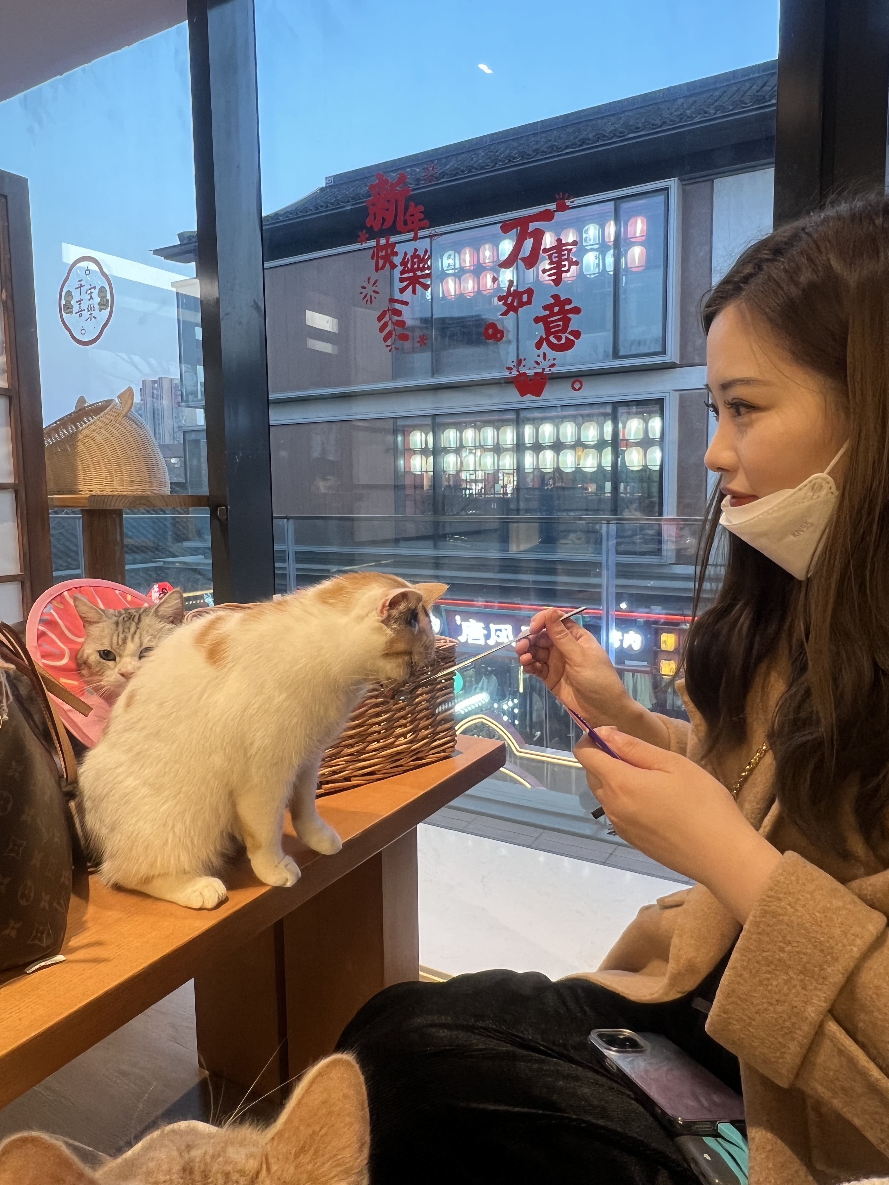 青柠不酸吖的图片