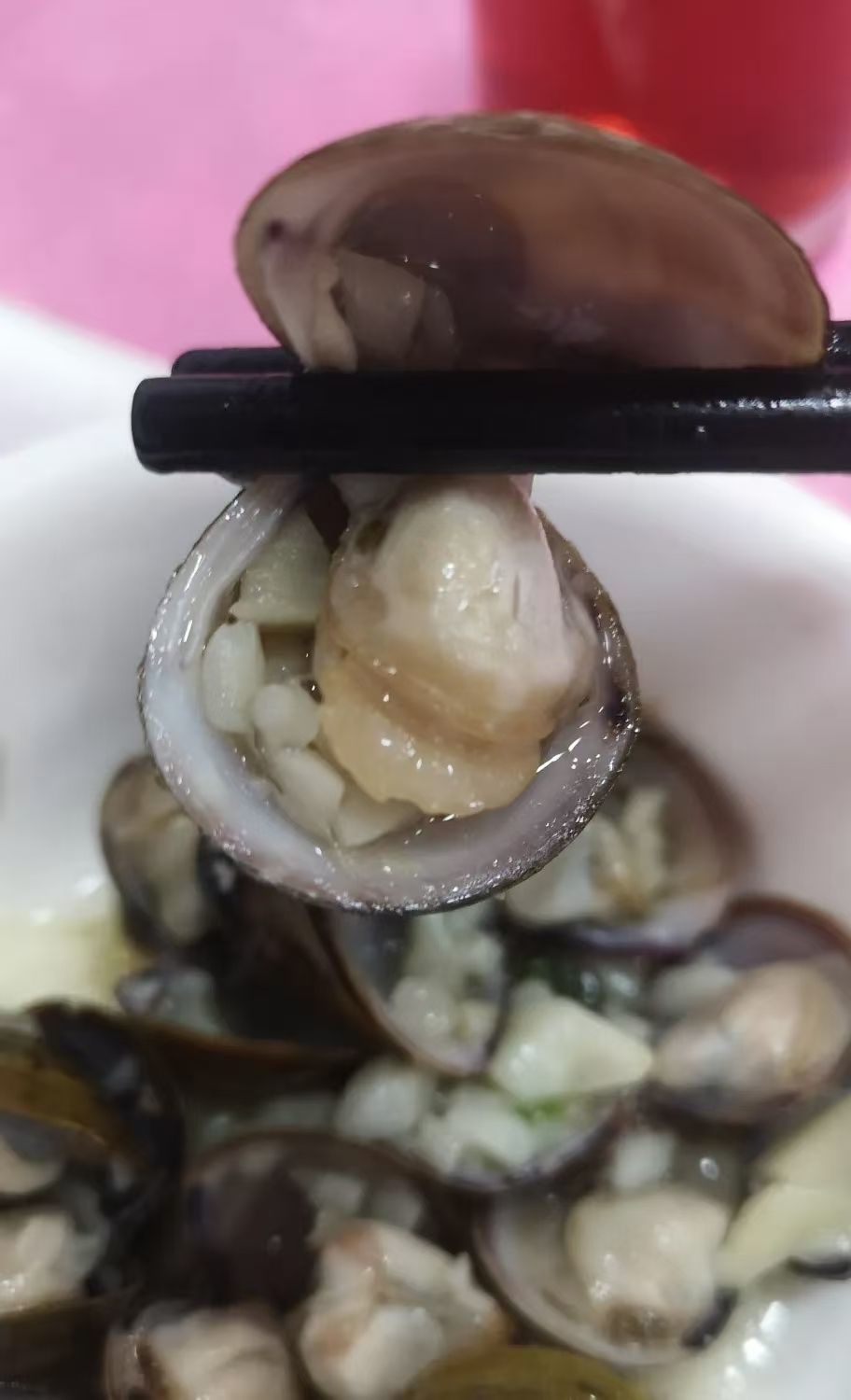 保♂羅主播圖片