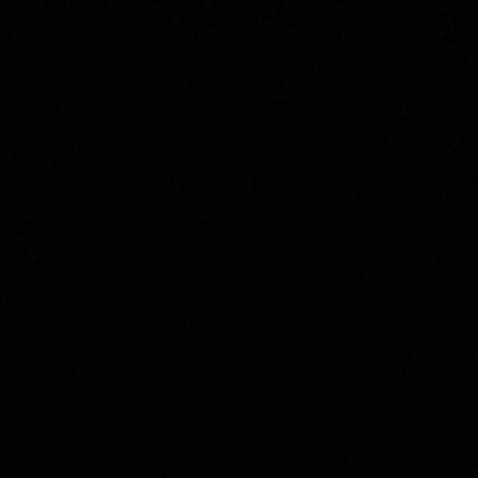 平凡漏斗网蜘蛛♂海报