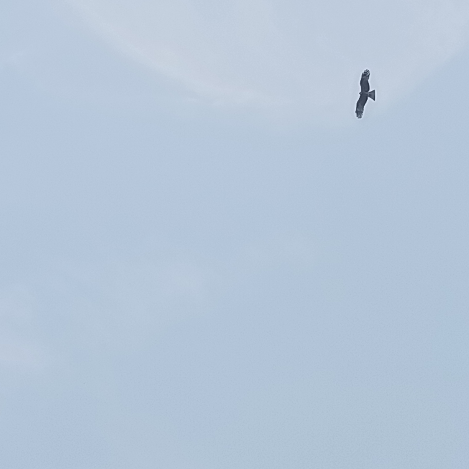 海.王i海报