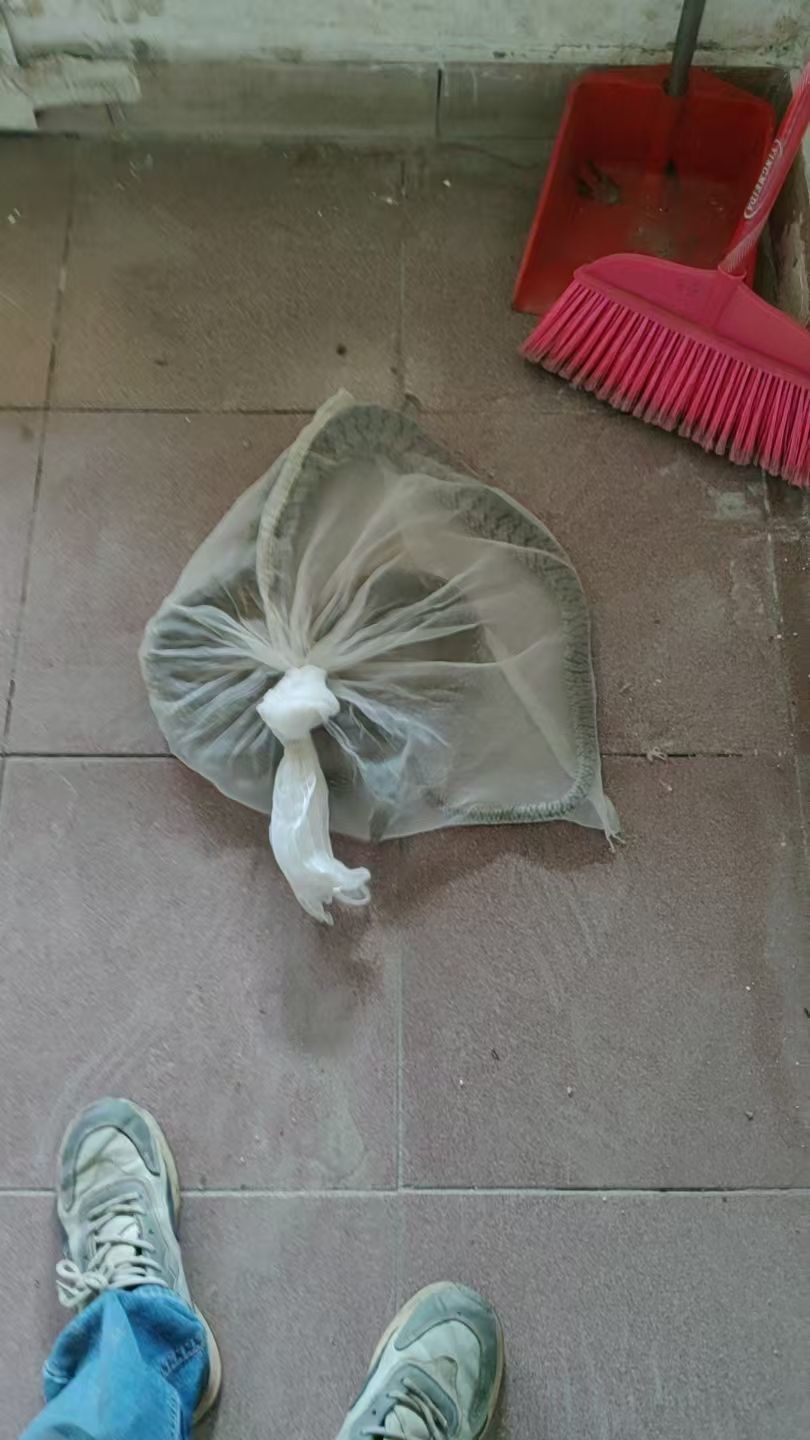 保♂罗的图片