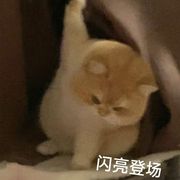 小胖町