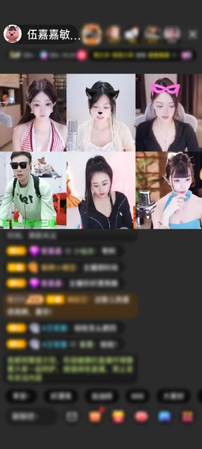 感谢青铜守护赠送天空游乐园1个