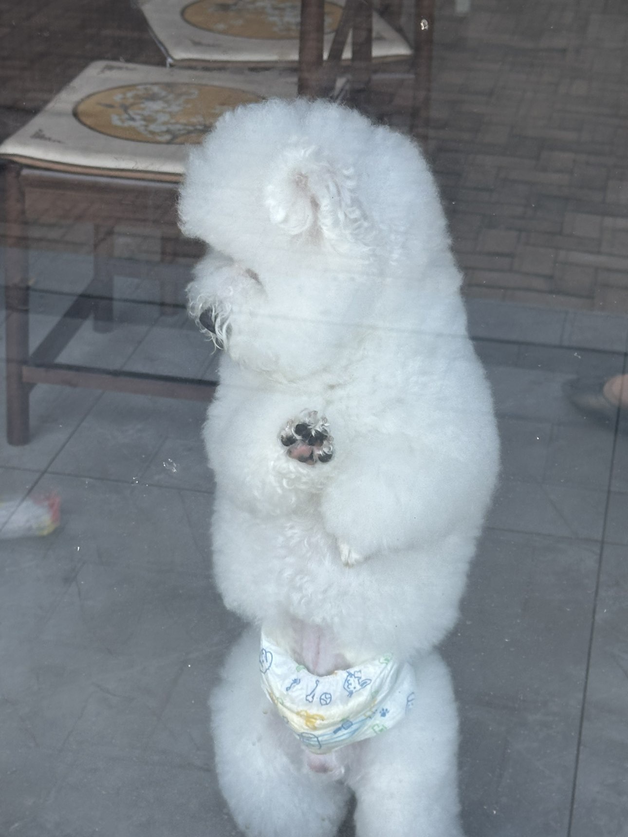 饱饱儿等你的图片