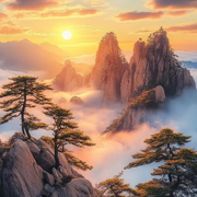 天下xbj的头像