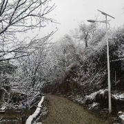 风雨无阻，始终如一海报