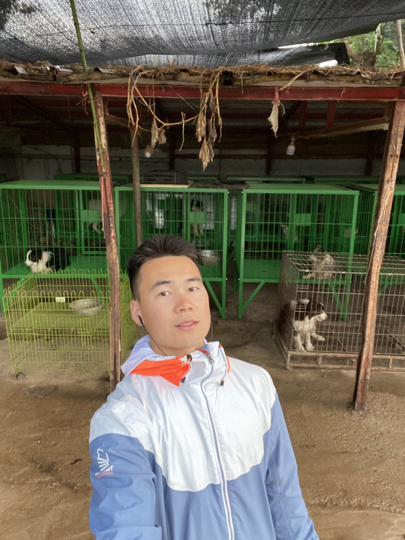 旺了个汪🐺海报