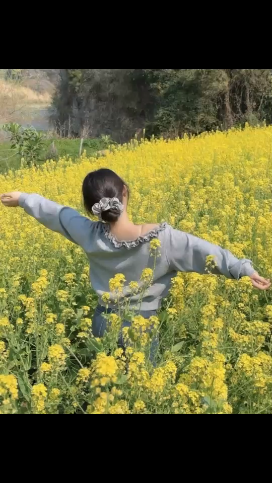 故乡的油菜花又要过季