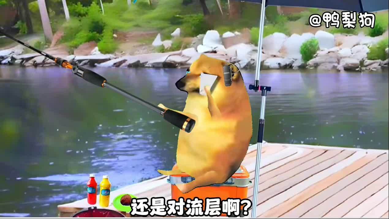 狗哥记事0002