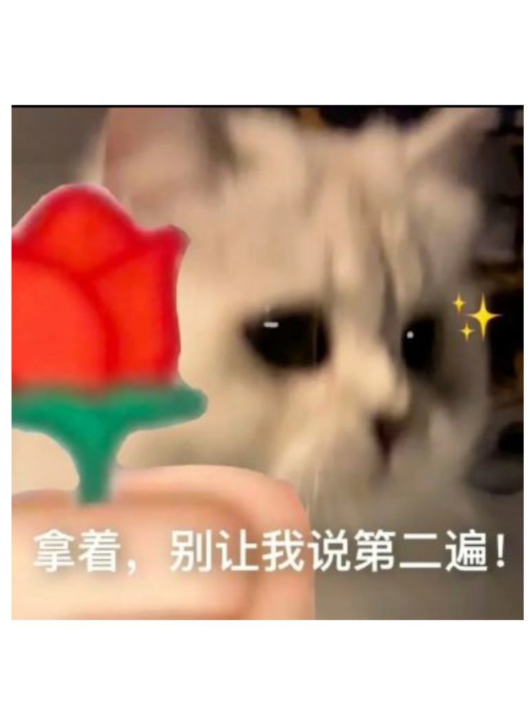 艾.琳的图片