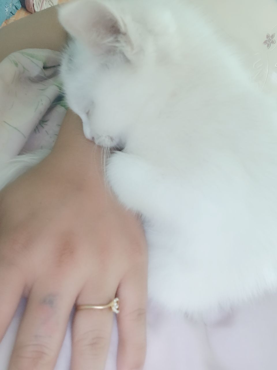 莫言，好惨一女的！的图片