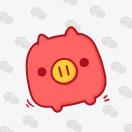 哄哄kiho
