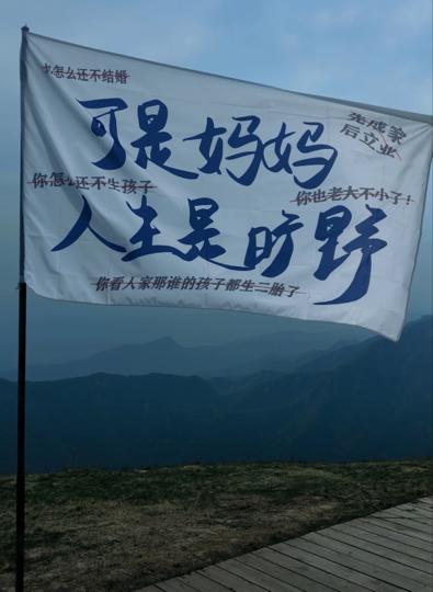 半鹿失踪🦌海报