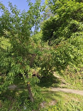 洛兜兜贺糊涂哥男爵了主播照片