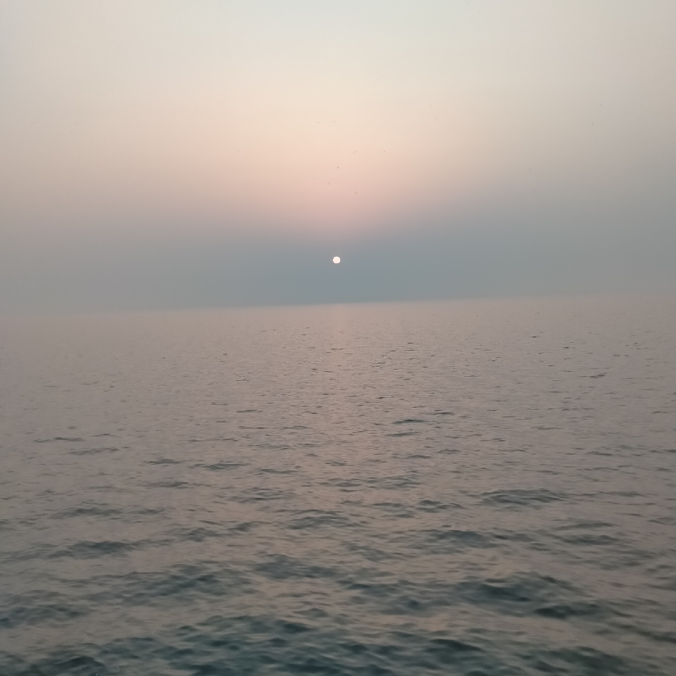 别脱Ｓ海报