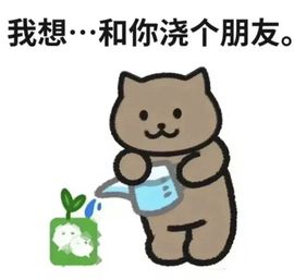 冉冉🍀好运来！主播照片