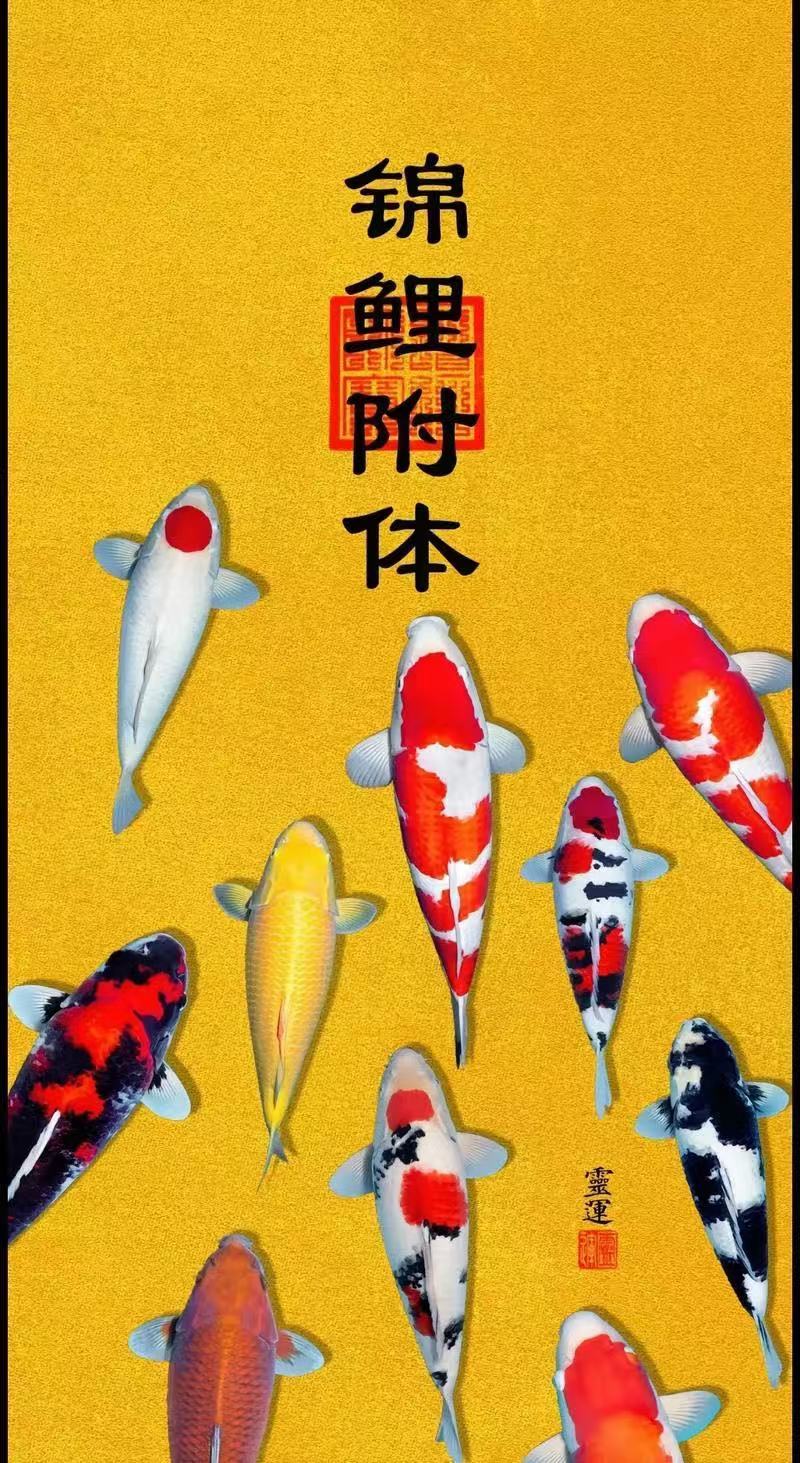 ღ锦鲤来米ꦼ多财多亿的图片