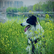 为自己真心爱她在
