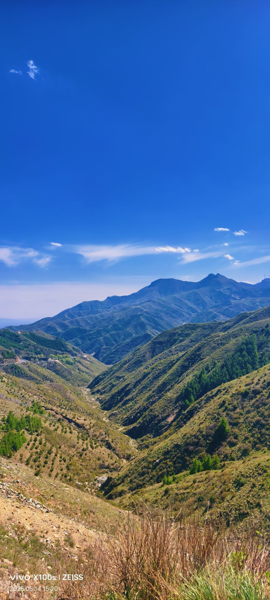 妞妞骑行全国的图片