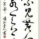 西山游子i的头像